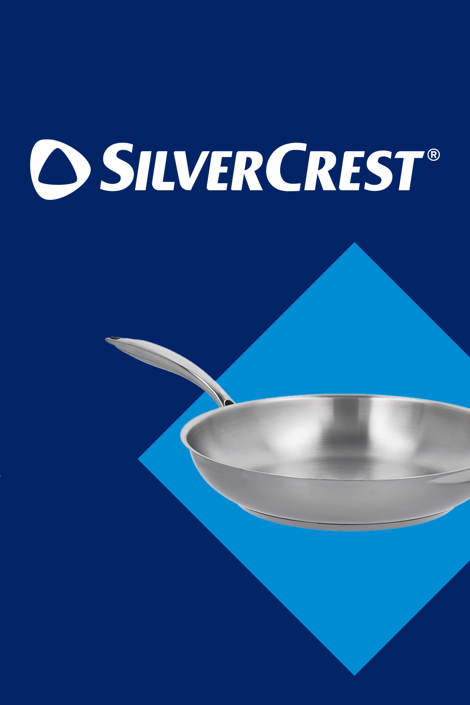 Roostevabast terasest praepann sinisel taustal, millel on helesinine geomeetriline kujundus.