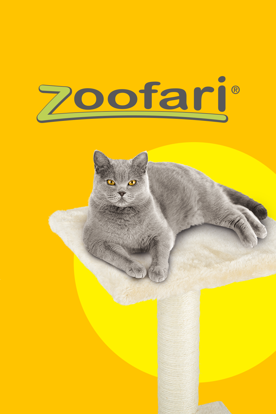 Hall kass lamab valgel kraapimispuul kollasel taustal Zoofari logoga.