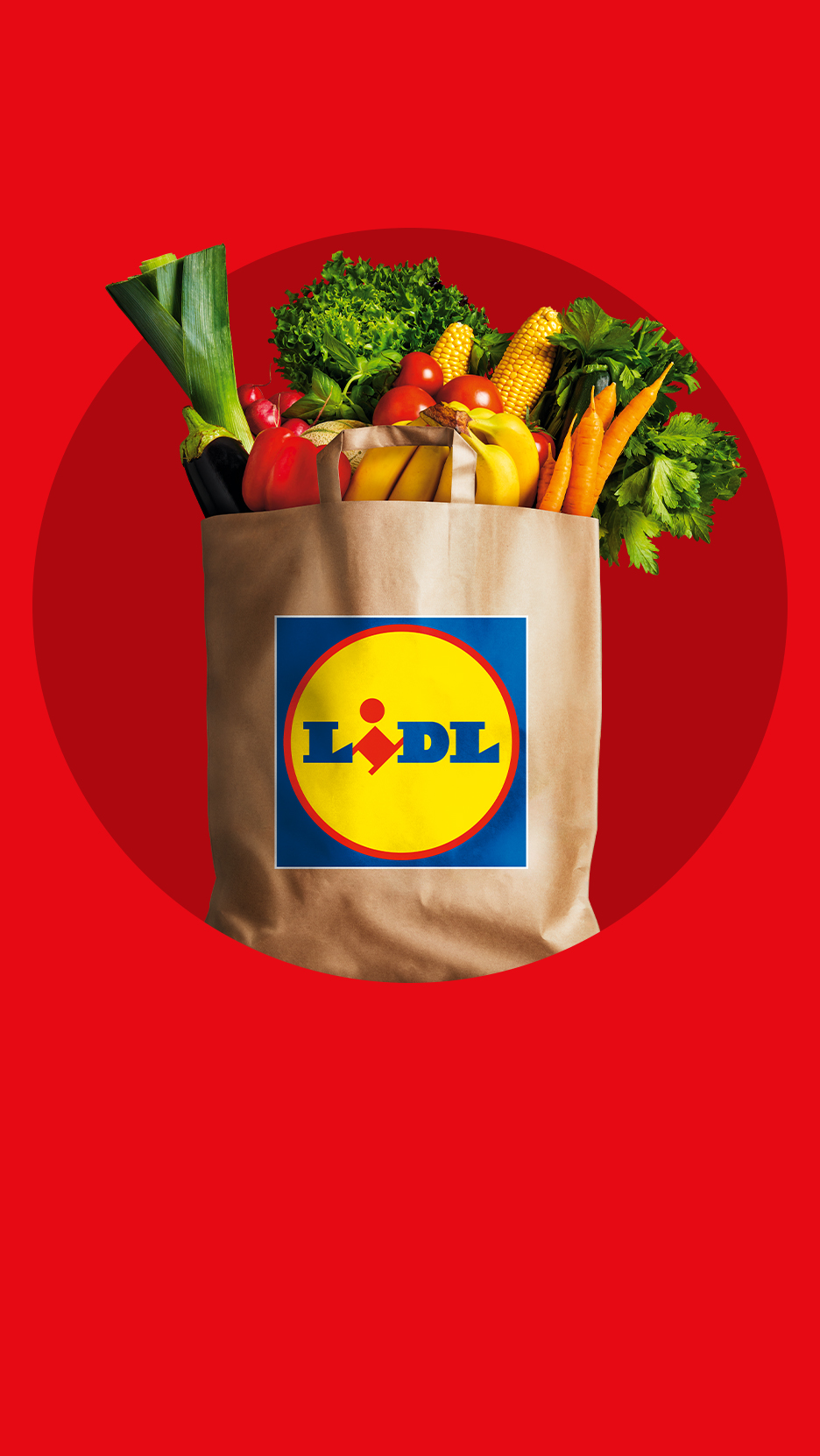 Lidli paberkott köögiviljade ja puuviljadega punasel taustal.