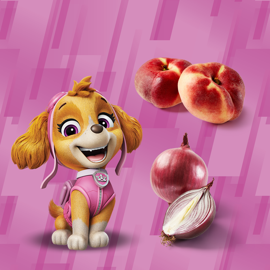 Skye Paw Patrolist virsikute ja punaste sibulatega roosal taustal.