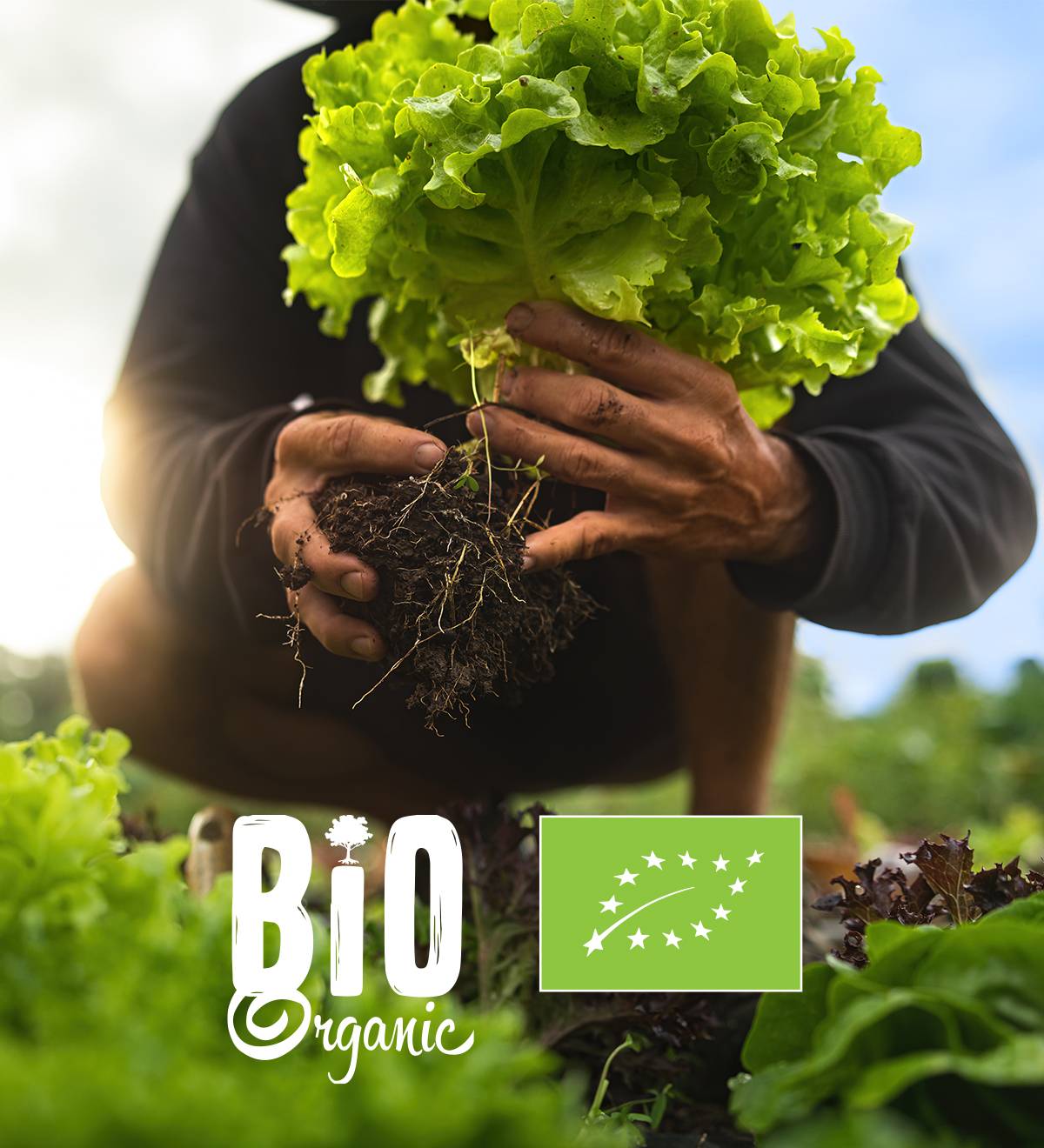 Фермер держит свежую органическую зелень, маркированную как BIO.