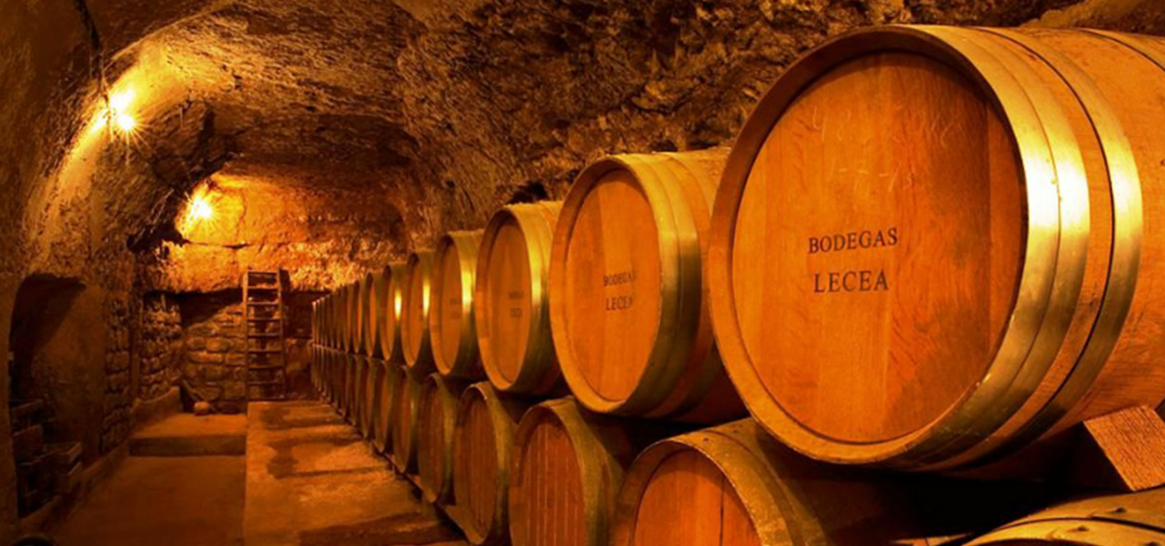 Veinikelder puidust vaatidega, mõned märgistatud 'BODEGAS LECEA'