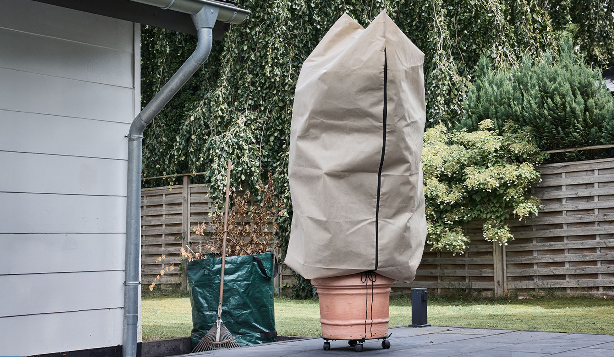 Taimekate potitaimel terrassil koos vihmaveerenniga ja reha.