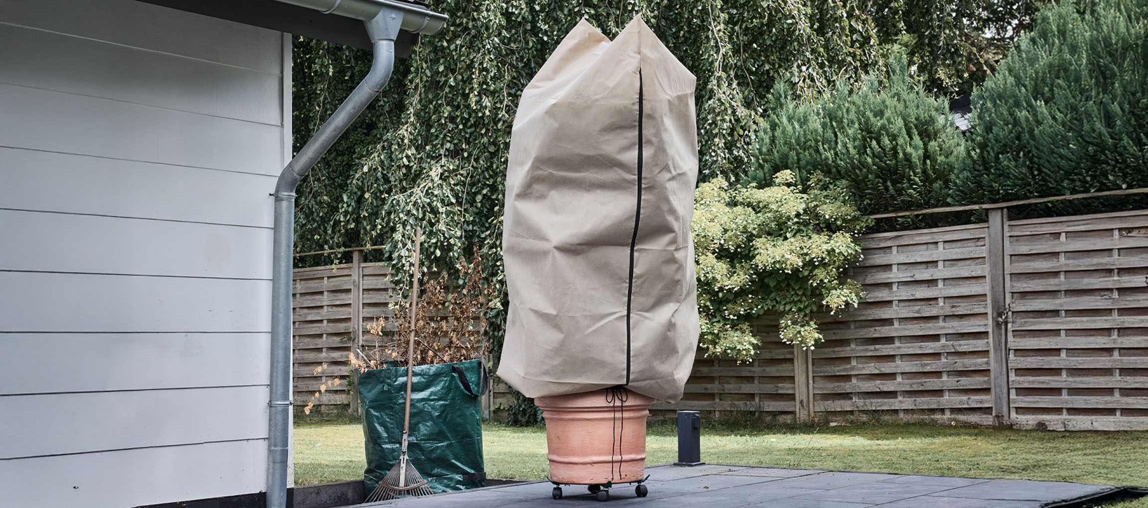 Potitaim talvekaitsmega terrassil maja kõrval.