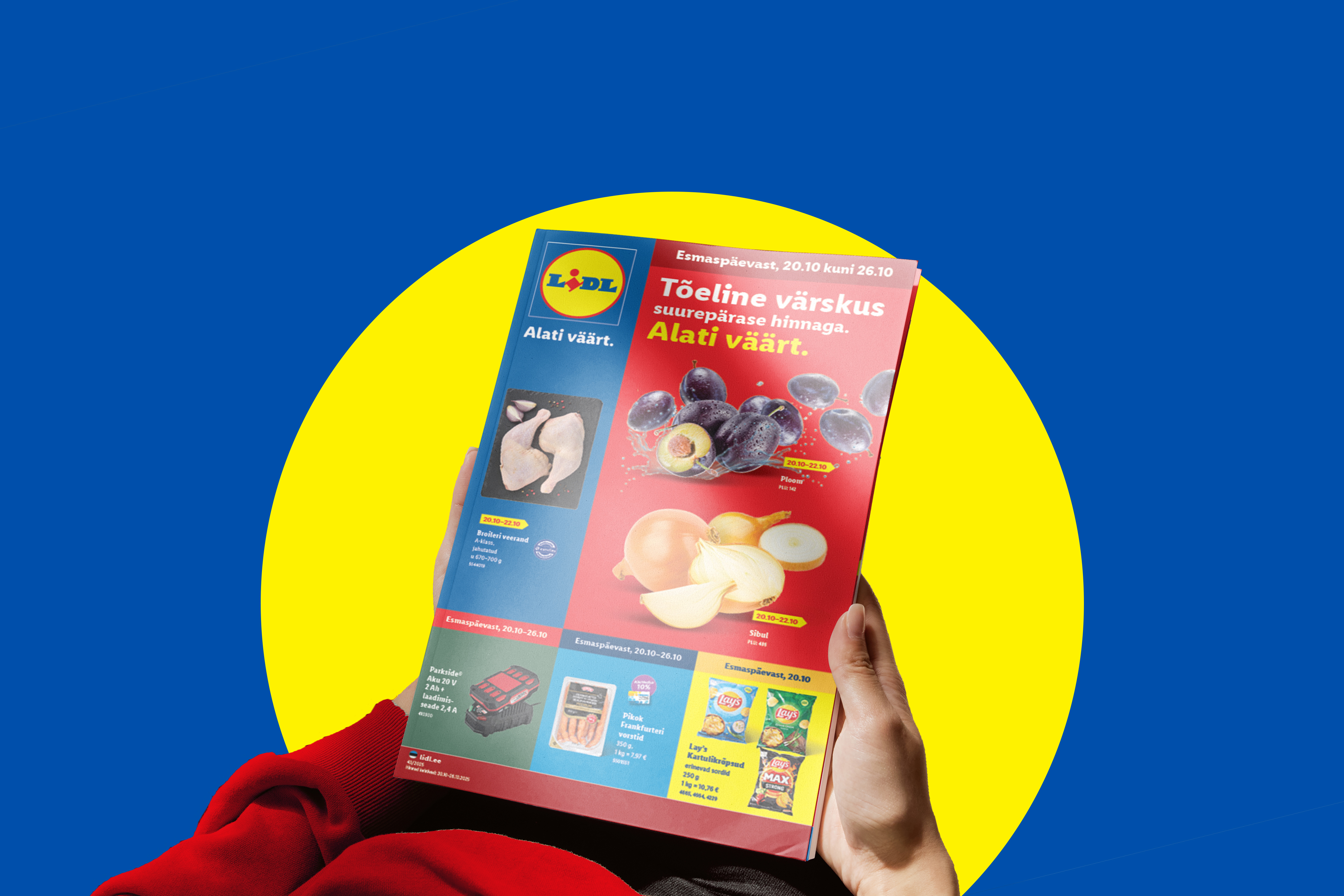 Руки держат рекламный буклет с изображениями свежих продуктов, таких как курица, сливы, лук, а также чипсы и сосиски.