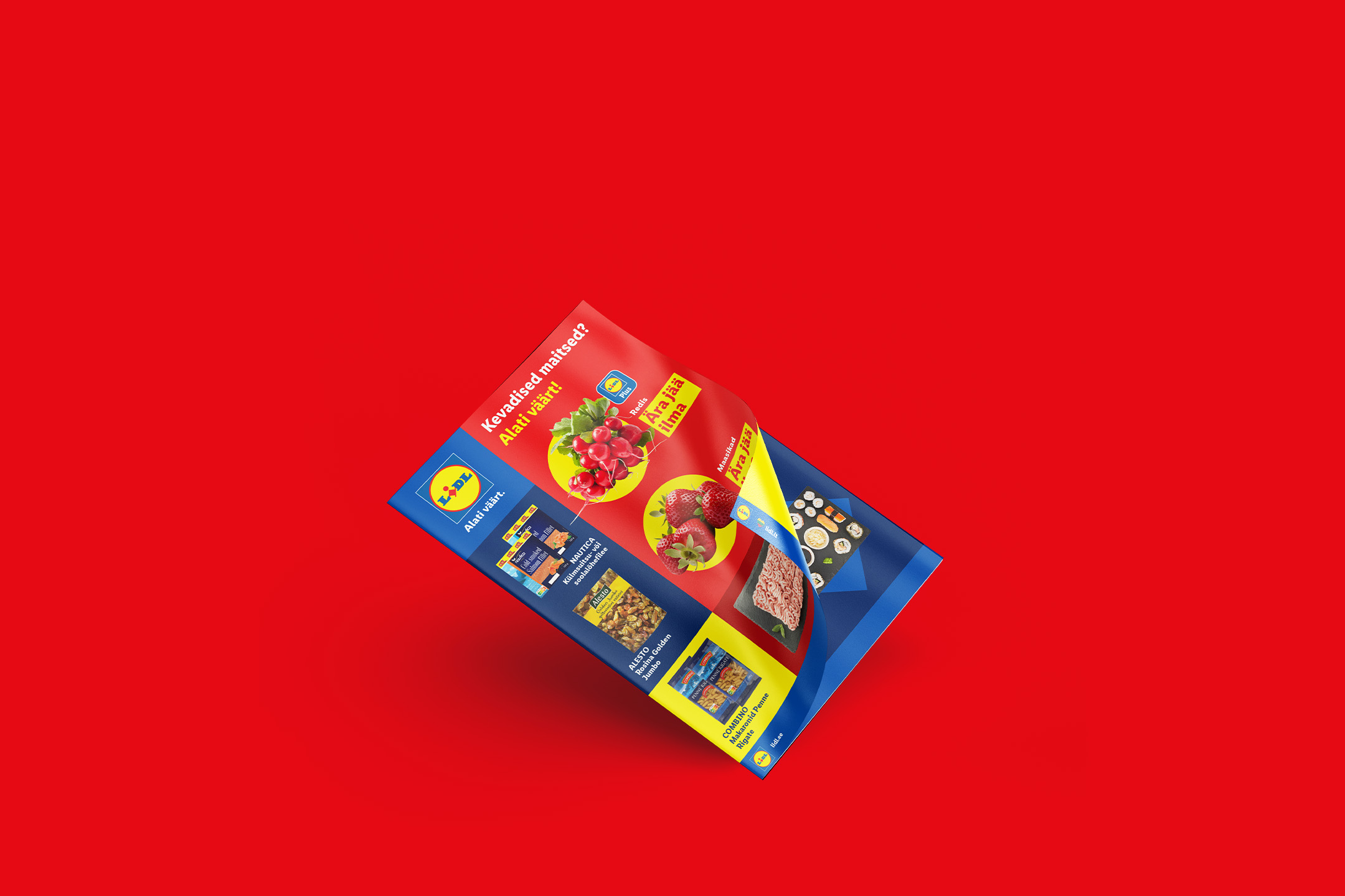 Флаер Lidl с весенними вкусами, включающий редис, клубнику, филе лосося, изюм и макароны.