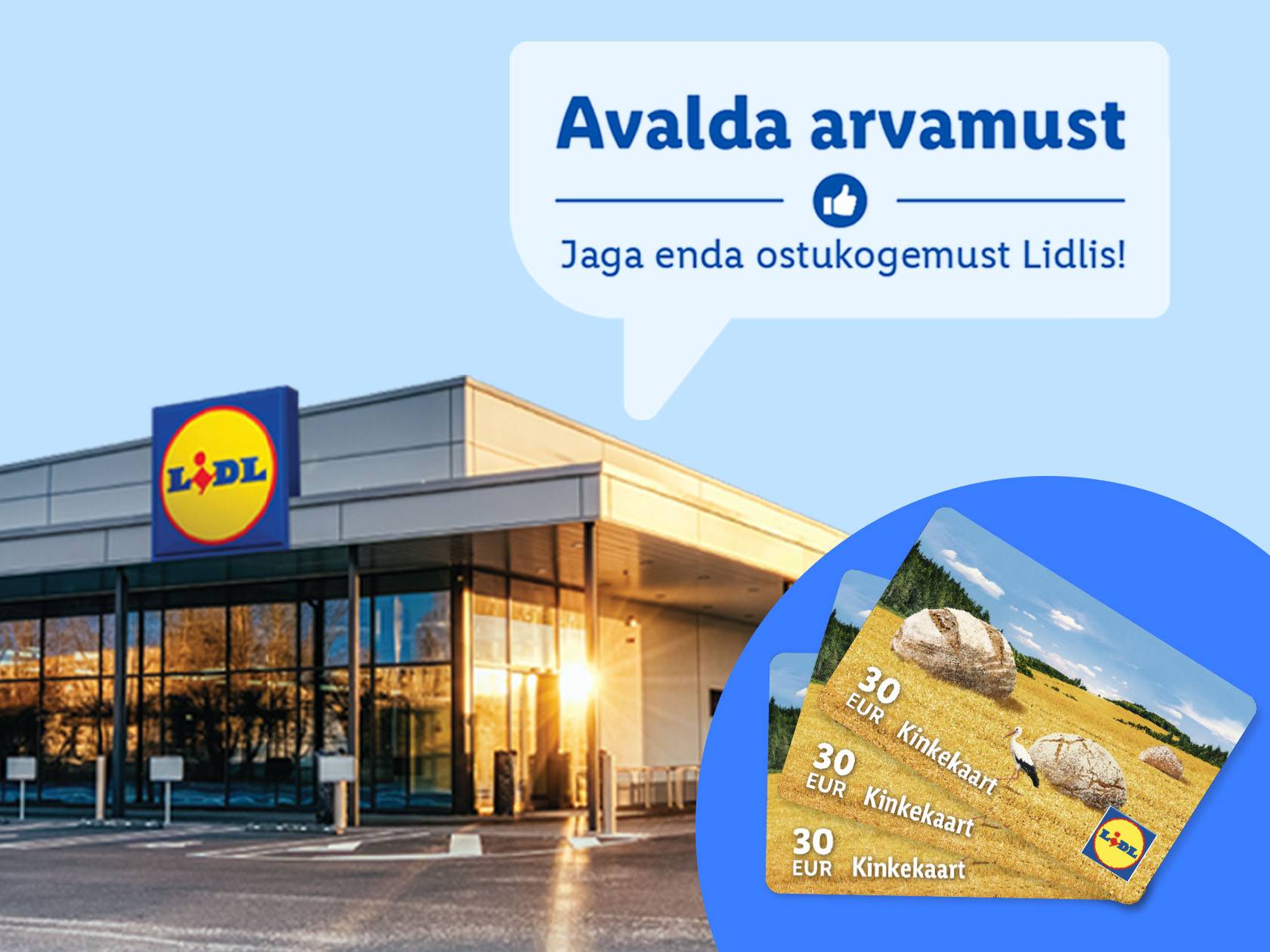Магазин Lidl и подарочные карты, призывающие поделиться опытом покупок.